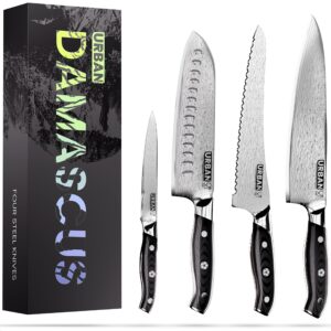 urbanxelites damascus knife chef knife set - 4 real damascus professional knife sets for chefs with japanese knife vg10 steel, professional damascus knife set | full tang g10 handle | gift box