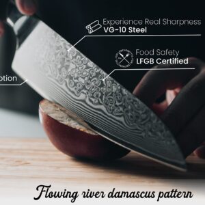 UrbanXElites Damascus Knife Chef Knife set - 4 Real Damascus Professional knife sets for chefs with Japanese knife VG10 Steel, Professional damascus knife set | Full Tang G10 Handle | Gift Box