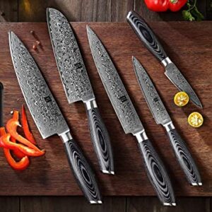 XINZUO 5PC Kitchen Knife Set Damascus Steel High Carbon Steel Chef Knife Slicing Knife Santoku Knife Utility Knife Paring Knife Sets with Pakkawood - Ya Series