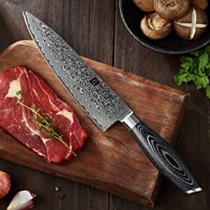 XINZUO 5PC Kitchen Knife Set Damascus Steel High Carbon Steel Chef Knife Slicing Knife Santoku Knife Utility Knife Paring Knife Sets with Pakkawood - Ya Series