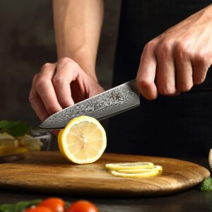 SENBON Damascus 5-inch profesional utility knife high hardness sharp fruit knife peeler knife handle non-slip G10