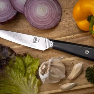 Mercer Culinary M13790 Premium Grade Super Steel, 5-Inch Utility Knife, G10 Handle