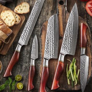 HEZHEN Damascus Knife Set 5PCS,Premium Powder Steel Forged Hammered Pattern, Rosewood Handle, Home Cooking Kitchen Knives