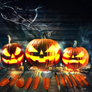 Halloween Pumpkin Carving Kit,12 Piece Professional Pumpkin Cutting Carving Supplies Tools for Adults Stainless Steel Lengthening And Thickening With Handbag,Pumpkin Sculpting Set