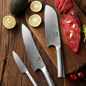 4 Pieces Damascus Kitchen Knife Set with Block, 8” Chef Knife, 7” Santoku Knife, 3.5” Paring Knife, 3 Slots Natural Wood Block, 67 Layer Handmade Damascus VG10 Steel Core, Hammered Ergonomic Handle