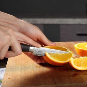 PAUDIN Chef Knife, Kitchen Utility Knife and Paring Knife