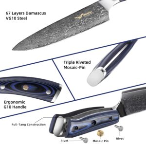 VINNAR Damascus Chef Knife, Japanese VG-10 Super Sharp 8 inch Professional Kitchen Knives, Ergonomic Blue G10 Handle，Sharpest Cooking Knife Best Choice for Home Kitchen and Restaurant