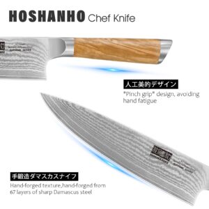 HOSHANHO Damascus Chef Knife 8 Inch, Professional 67 Layers VG-10 Super Steel Kitchen Knife, Ultra Sharp Japanese Cooking Knife with Ergonomic Olive Wood Handle