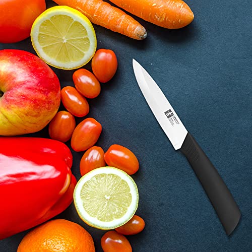 LIANGTAI Ceramic Knife 4 Inch Fruit Knife (Black Handle)