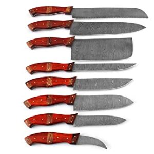 Custom Handmade Damascus Steel Blade Kitchen Chef Knife Set 8pcs Damascus Knife Set With Leather Case Roll Bag- Professional Demasticus Butcher BBQ Knives for Men and Women 1007 rd