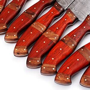 Custom Handmade Damascus Steel Blade Kitchen Chef Knife Set 8pcs Damascus Knife Set With Leather Case Roll Bag- Professional Demasticus Butcher BBQ Knives for Men and Women 1007 rd