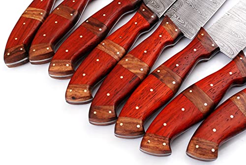 Custom Handmade Damascus Steel Blade Kitchen Chef Knife Set 8pcs Damascus Knife Set With Leather Case Roll Bag- Professional Demasticus Butcher BBQ Knives for Men and Women 1007 rd