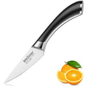 WELLSTAR Paring Knife, 3.5 Inch Fine Edge Fruit Peeling Knife with Super Sharp German Stainless Steel Forged Blade and Full Tang Handle, C-Style Series