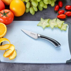 WELLSTAR Paring Knife, 3.5 Inch Fine Edge Fruit Peeling Knife with Super Sharp German Stainless Steel Forged Blade and Full Tang Handle, C-Style Series