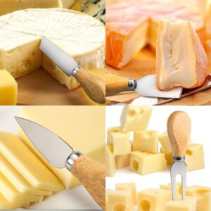 ccHuDE 4 Pcs Stainless Steel Cheese Cutter Set Cheese Spreading Slicer Forks Mini Butter Serving Spatula Charcuterie Board Accessories