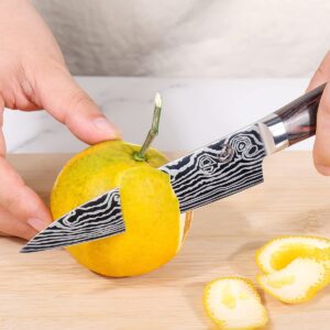 Fukep Paring Knife 3.5 inch - Kitchen Fruit Knife Forged from Stainless Steel 5Cr15Mov(HRC56), Razor Sharp Small Paring Knife with Cover for Home, Small Kitchen Knife for Peeling, and Cutting Fruit