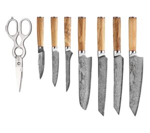 haro cutlery premium series 9-piece japanese chef knife set | damascus knife set | forged aus10v steel chef knife set professional | razor sharp knives set for kitchen | kitchen knife set
