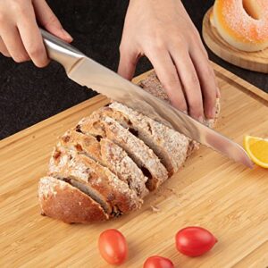 Fashionwu 5pcs Kitchen Knife Set, Stainless Steel Chef Knife Set, Kitchen Knives Set with Transparent Cover, Non-Slip Handle, Santoku Knife, Serrated Bread Knife, Kitchen Cooking Set with Gift Box