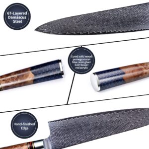 JunJing 8 inch Damascus Chef Knife, Damascus Steel Kitchen Chef Knife, Gyuto Chef Knife 67-layer High Carbon Stainless Steel with Ergonomic Resin Wood Handle