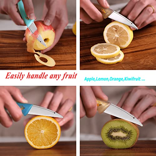 Paring Knife,Dolphin fruit knife,High Carbon Stainless Steel Fruit and Vegetable knife,Blue Transparent soft handle,Ultra Sharp Peeling Knife for Cutting Fruit,Vegetable,2.6-Inch Blade