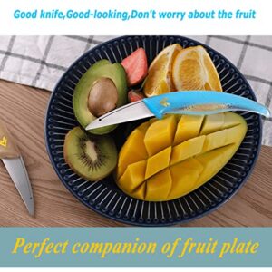 Paring Knife,Dolphin fruit knife,High Carbon Stainless Steel Fruit and Vegetable knife,Blue Transparent soft handle,Ultra Sharp Peeling Knife for Cutting Fruit,Vegetable,2.6-Inch Blade