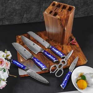 WILDMOK Damascus Kitchen Knife Set with Block Premium Quality 7 Pieces Kitchen Knife Set Razor-Sharp with Ergonomic Handle (7pcs Knife Block Set Blue Resin Handle)