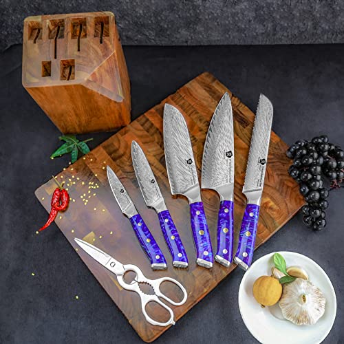 WILDMOK Damascus Kitchen Knife Set with Block Premium Quality 7 Pieces Kitchen Knife Set Razor-Sharp with Ergonomic Handle (7pcs Knife Block Set Blue Resin Handle)