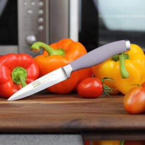 Taylors Eye Witness Syracuse Kitchen Knife 3pce Set - Paring 8cm/3.5”, Chefs 15cm/6” & Cooks All Purpose 13cm/5” Cutting Edge. Ultra Fine, Razor Sharp Blade. Soft Textured Grip Berry Colour Handle