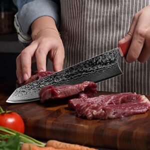 Ompusos 8.5” Chef Knife, Kitchen Knives Ultra Sharp, VG-10 Stainless Steel with Ergonomic G10 Octagonal Handle, Japanese Pro Chefs Knife Kitchen Knives with Gift Box & knife sheath