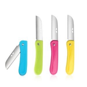 fruit knife small,new foldable fruit knife set,paring knife set of exquisite and beautiful,small and easy to carry,suitable for most types of vegetables and fruits,4 pieces(red, blue,green,yellow)