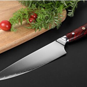 KEENSUN Damascus Chef Knife - 8 Inch Professiona Kitchen Knife Rust Resistant Japanese VG10 Super Steel 67 Layer High Carbon Stainless,with Red Ergonomic Resin Handle and Luxury Gift Box