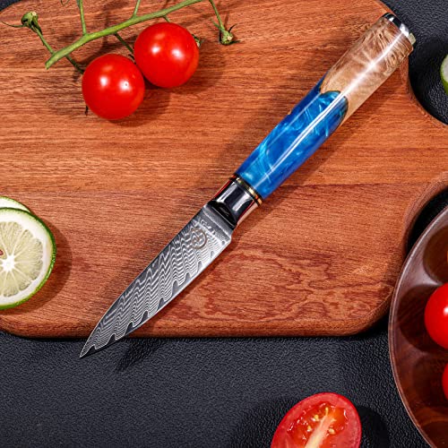 Fukep 3.5-inch Damascus Paring Knife + 5-inch Kitchen Utility Knife