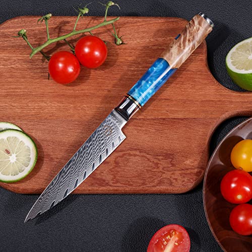 Fukep 3.5-inch Damascus Paring Knife + 5-inch Kitchen Utility Knife