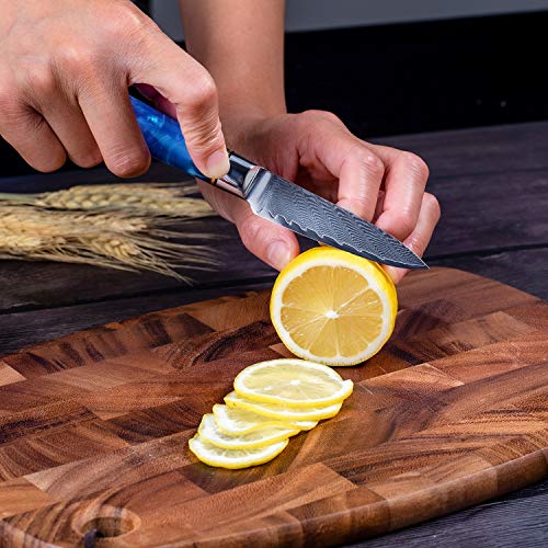 Fukep 3.5-inch Damascus Paring Knife + 5-inch Kitchen Utility Knife