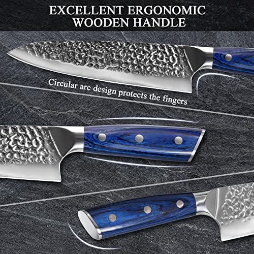 Chef Knife, 8 Inch Professional Kitchen Knife, High Carbon Stainless Steel Sharp Knife, Super Sharp Chefs Knives with Ergonomic Handle and Gift Box for Family and Restaurant, Chef gifts, Blue