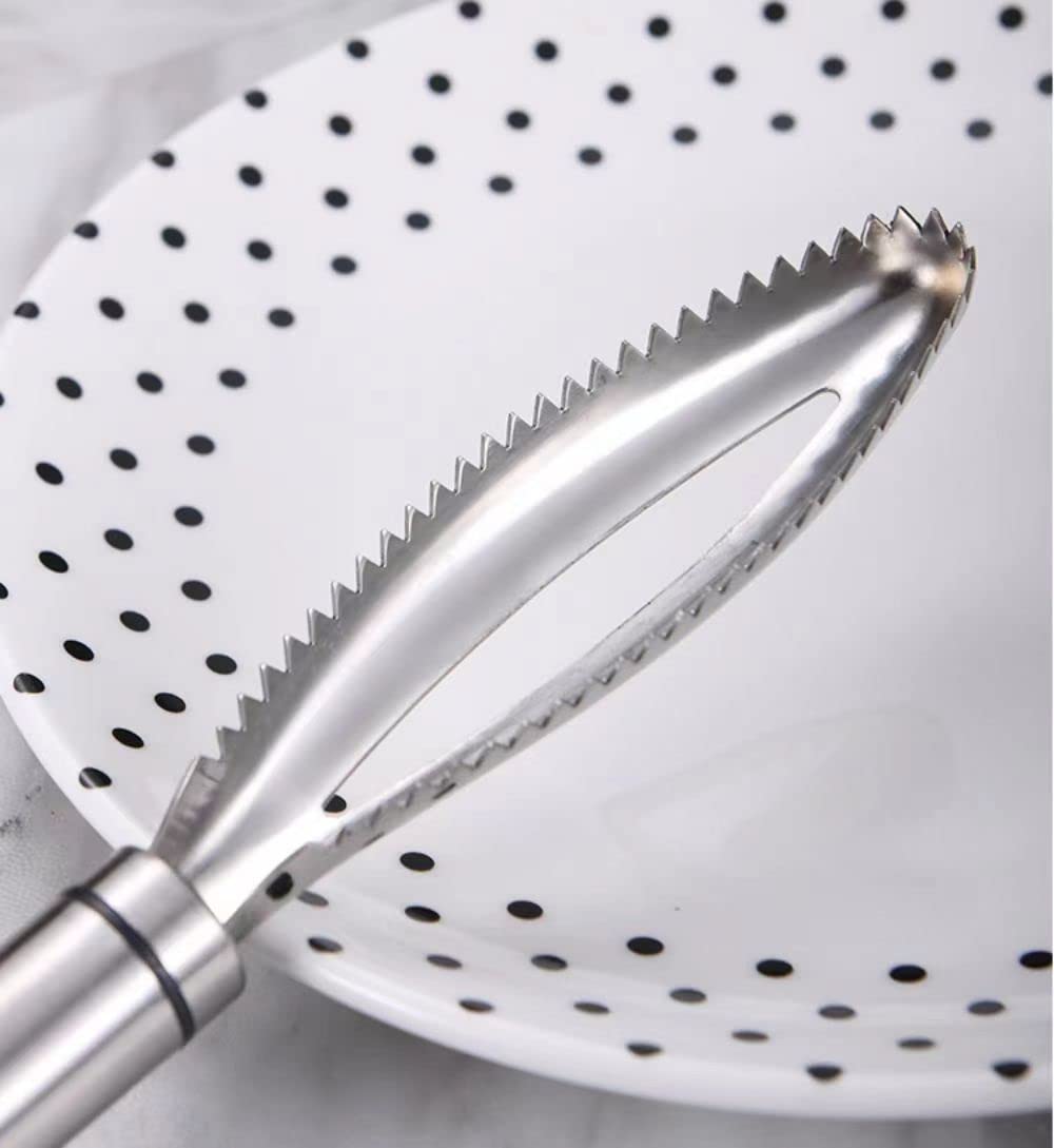 304 Stainless Steel Fish Scale Remover - Saw Teeth Descaler Tool - Easy Scaling Fish Scraper - Suitable for All Fish Types - Perfect for Chefs and Home Cooks
