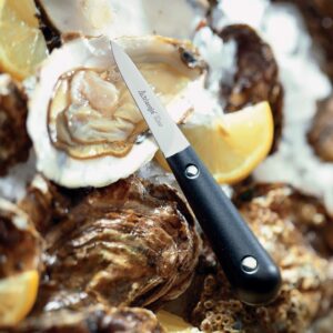 Triangle Germany Oyster Knife, Professional-grade Design with Riveted Ergonomic Handle and Continuous Blade, Dishwasher Safe Stainless Steel