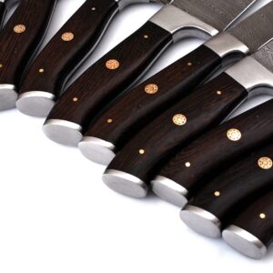 randy Handmade Damascus Kitchen Chef Knife Set - Professional Damascus Steel Knife Set - 10 pcs Japanese Damascus Knife Set With Leather Bag/Case(10801)