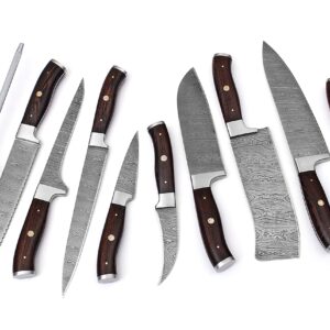 randy Handmade Damascus Kitchen Chef Knife Set - Professional Damascus Steel Knife Set - 10 pcs Japanese Damascus Knife Set With Leather Bag/Case(10801)