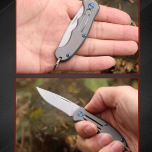 VSL VANSLENSON Small Folding Knife Mini EDC Pocket Knife 2 inch Stainless Steel Knife Gray (2)