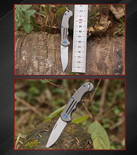 VSL VANSLENSON Small Folding Knife Mini EDC Pocket Knife 2 inch Stainless Steel Knife Gray (2)