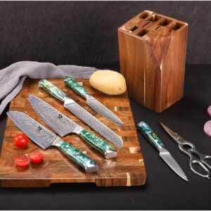 WILDMOK Damascus Kitchen Knife with Block 7pcs Premium Kitchen Knives Set with Resin Handle Professional Ultra Sharp Chef Knives Set with Gift Box