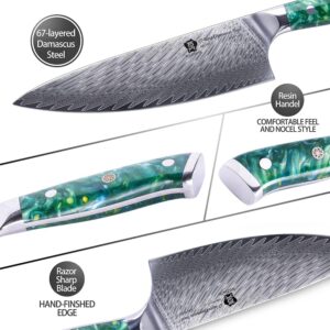 WILDMOK Damascus Kitchen Knife with Block 7pcs Premium Kitchen Knives Set with Resin Handle Professional Ultra Sharp Chef Knives Set with Gift Box