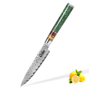 orlan 5-inch utility knife, paring knife japanese vg10 stainless steel beautiful pattern and g10 handle with special resin ring professional damascus knife - forestgreen