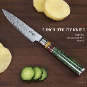 Orlan 5-Inch Utility Knife, Paring Knife Japanese VG10 Stainless Steel Beautiful Pattern and G10 Handle with Special Resin Ring Professional Damascus Knife - ForestGreen