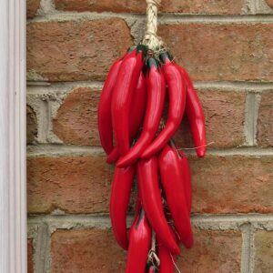 Generic Ceramic Talavera Red Chile Pepper - 15 in Red Chiles - Beautiful Mexican Handmade - Individually Unique - Red Chili Pepper Decorations - Pepper String - Red Chili Décor