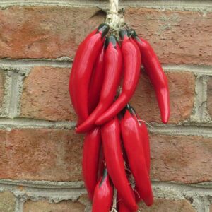 Generic Ceramic Talavera Red Chile Pepper - 15 in Red Chiles - Beautiful Mexican Handmade - Individually Unique - Red Chili Pepper Decorations - Pepper String - Red Chili Décor