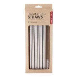 Stainless Steel Straws - Set of 10