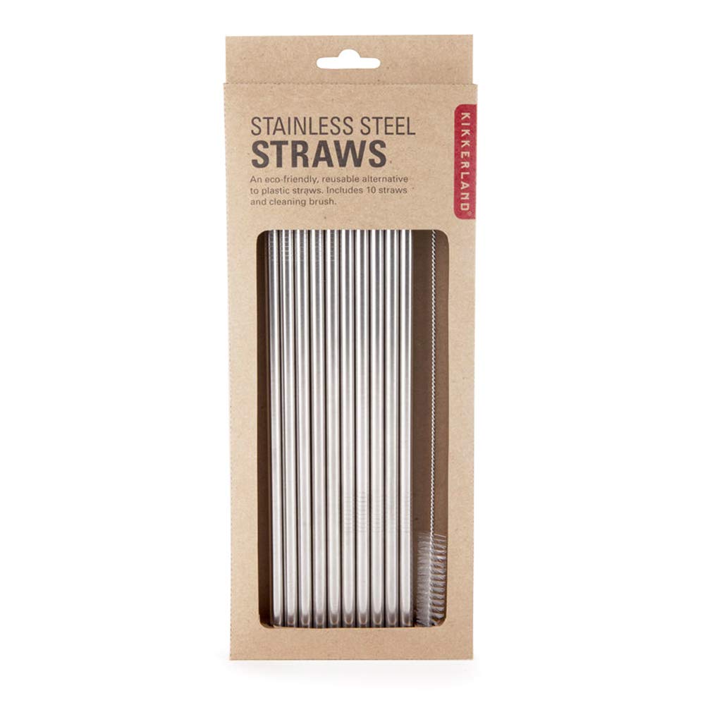 Stainless Steel Straws - Set of 10