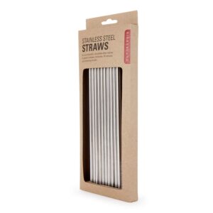 Stainless Steel Straws - Set of 10